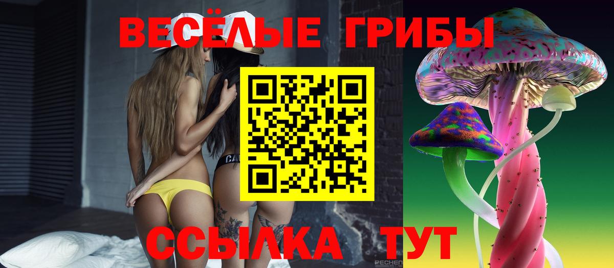 Брянск  Псилоцибиновые грибы мицелий  Вход с VPN 